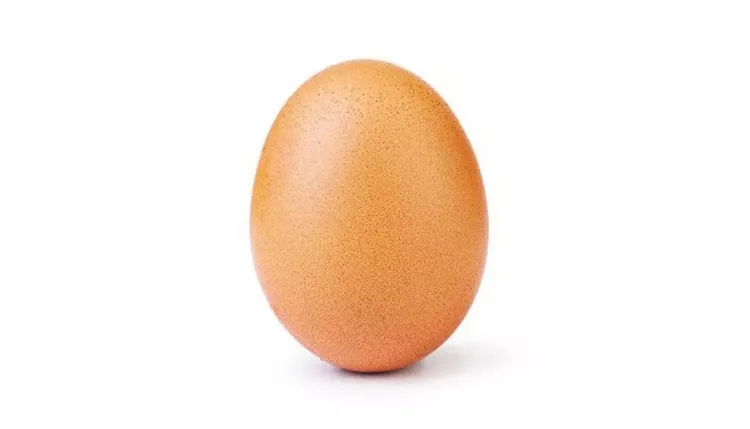Jajko kurze – Wartości odżywcze
